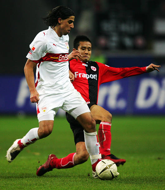 同时展示黄 同时展示黄